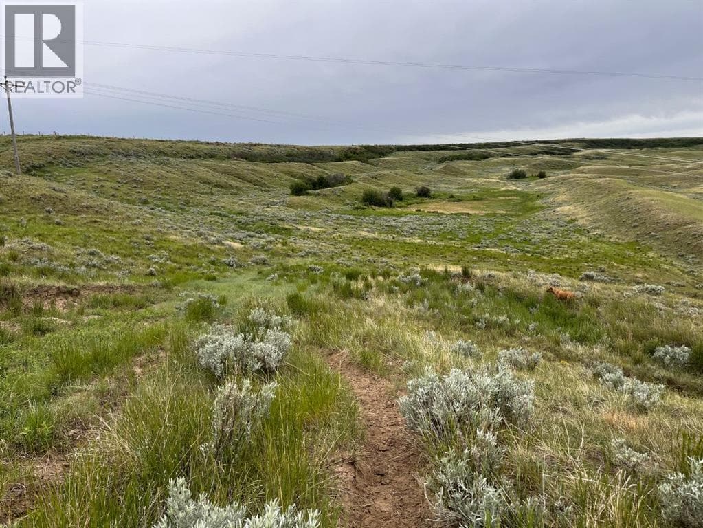 NE, NW 27 20 1 W4, All Sec 28 20 1 W4, SE 29&SE 34 — photo 3