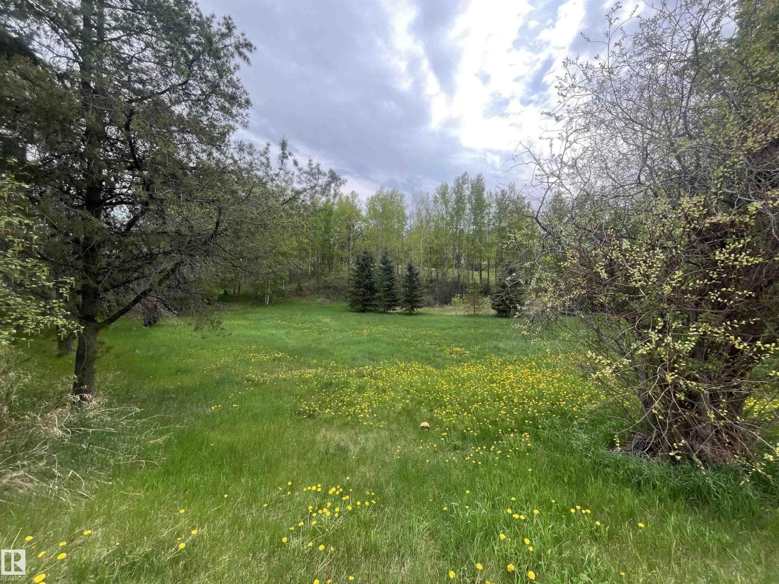 #27 52330 RGE ROAD 15 — photo 2