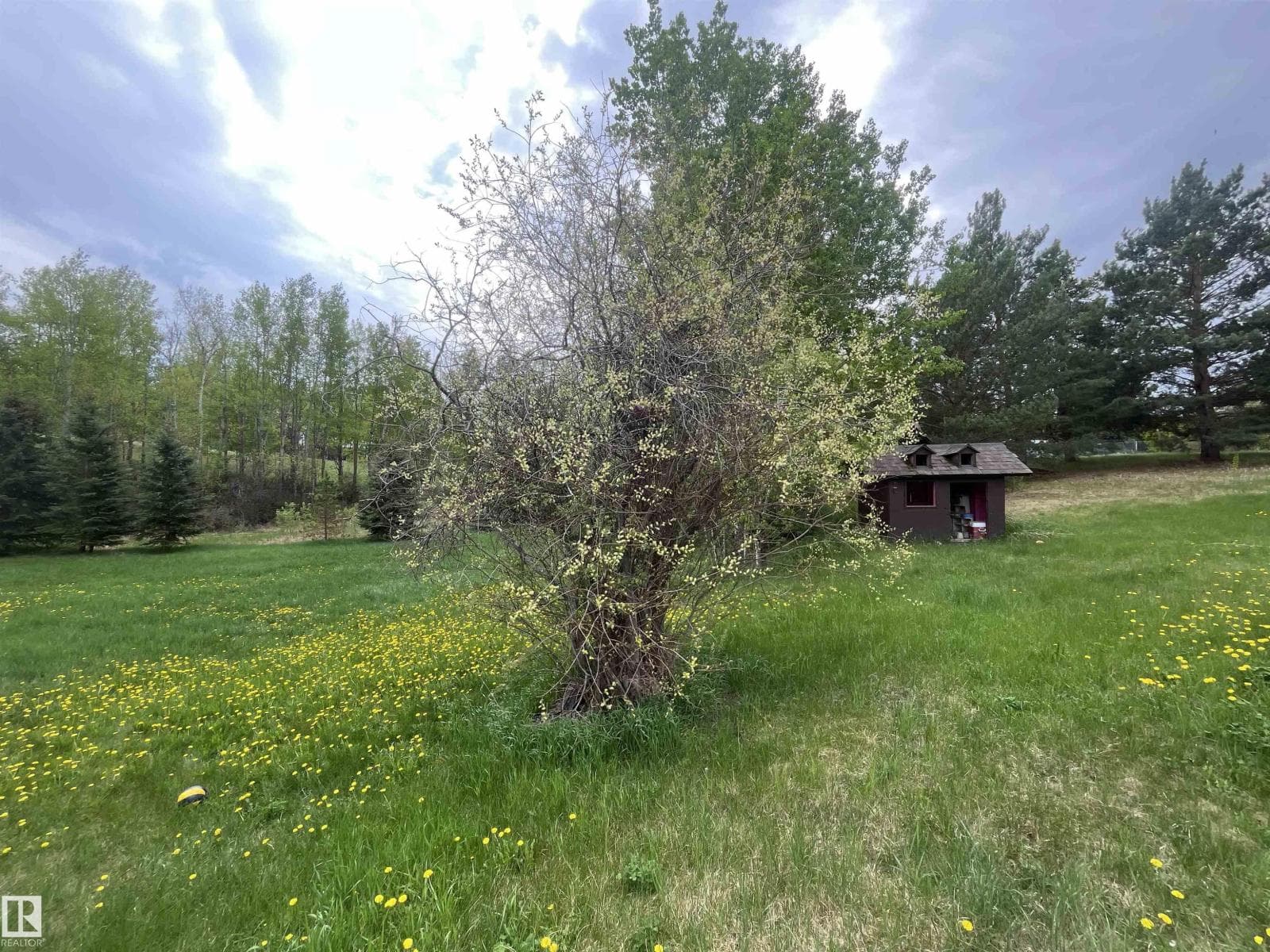 #27 52330 RGE ROAD 15 — photo 3