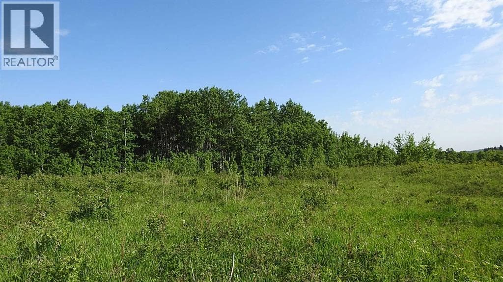 79.41 Acres SE-13-22-3W5 — photo 5