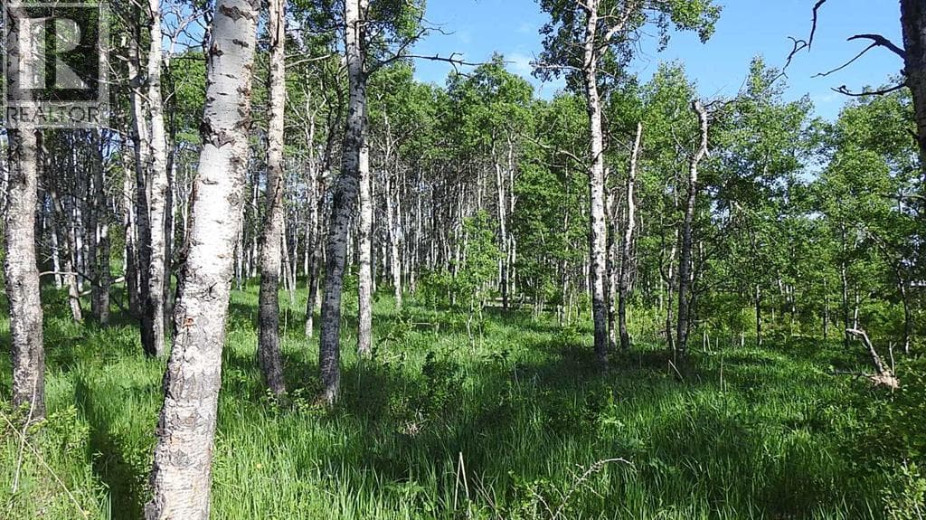 79.41 Acres SE-13-22-3W5 — photo 3