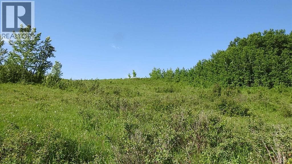 79.41 Acres SE-13-22-3W5 — photo 4