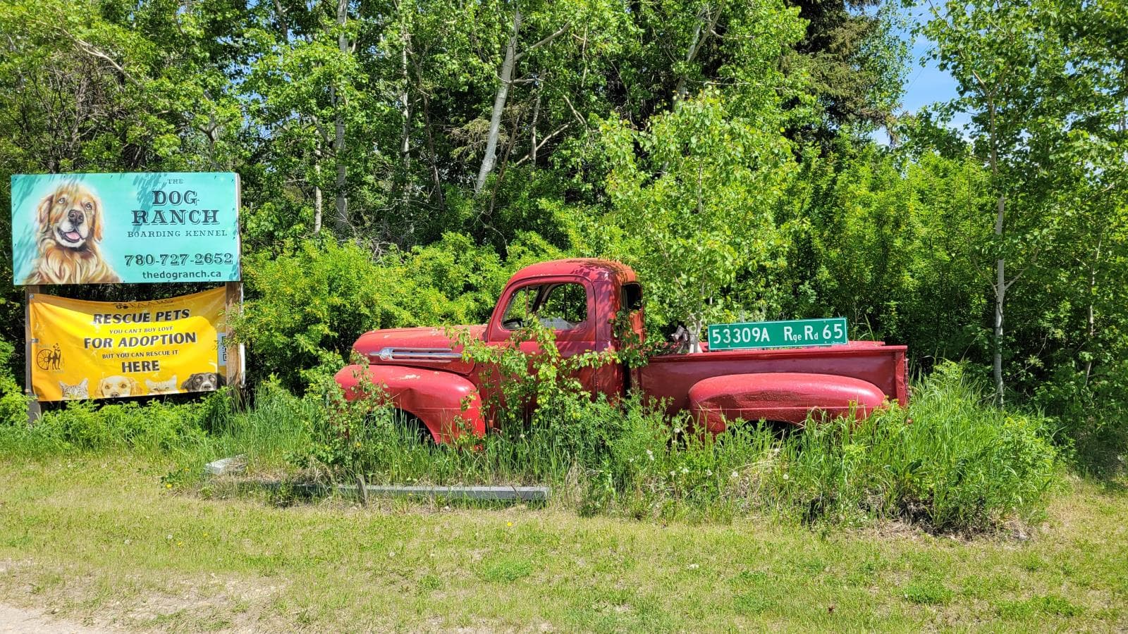 Gainford, Alberta — photo 4