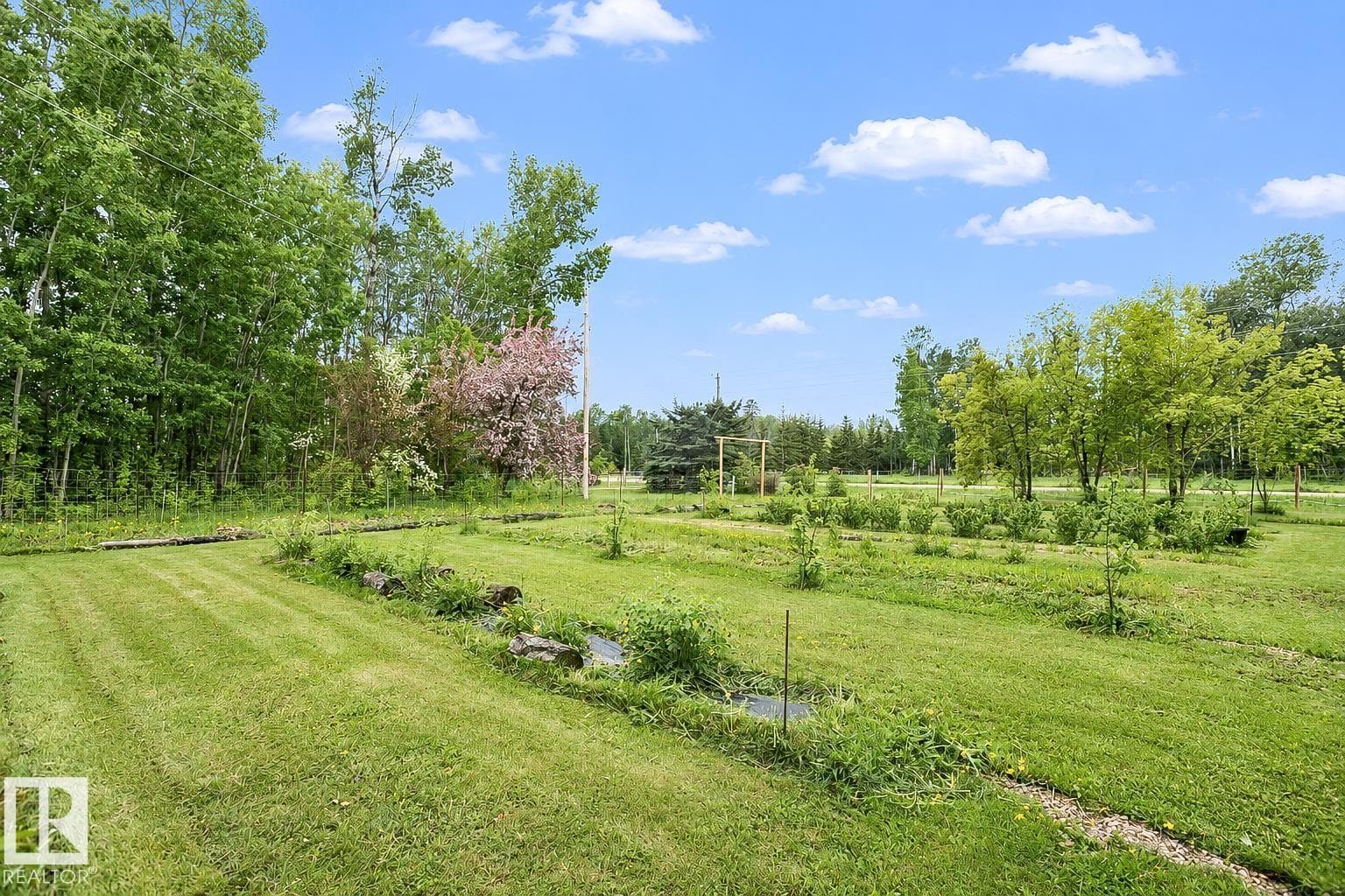 624031 RGE ROAD 64 — photo 5