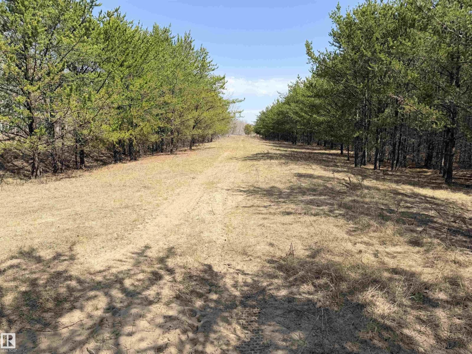 60524 Rge Rd 250 — photo 4