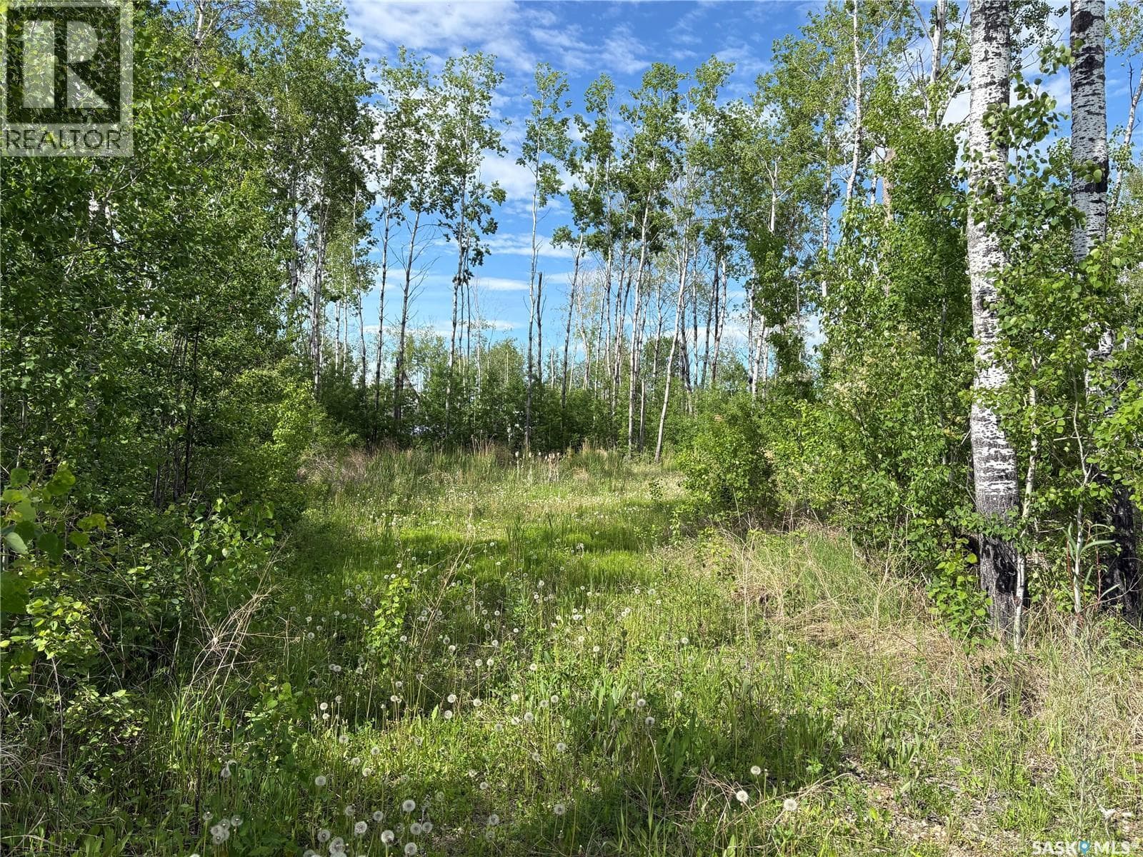 Lot 22, Lakeshore RV Properties — photo 5