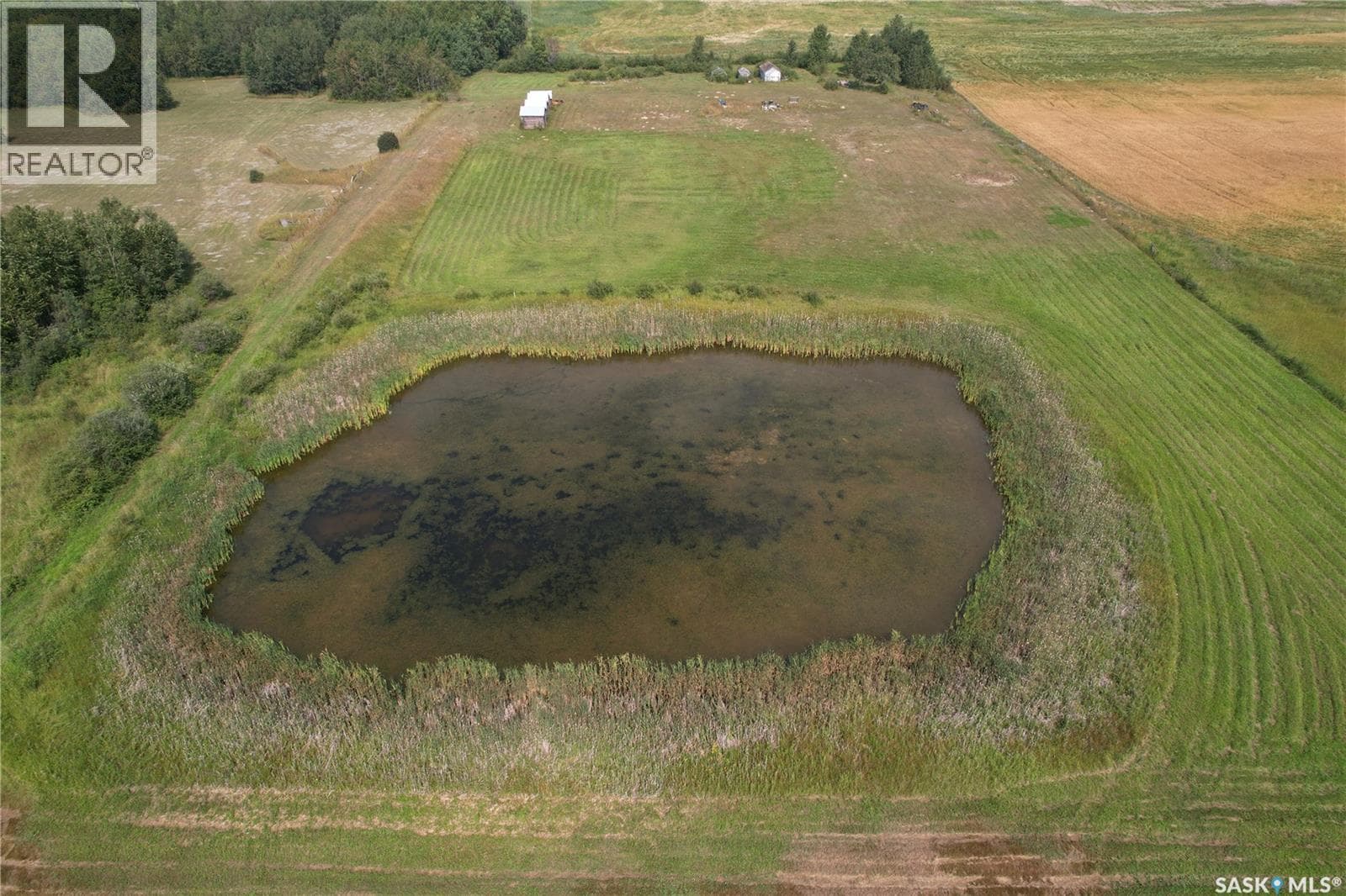 Strong Pine Road Land — photo 2