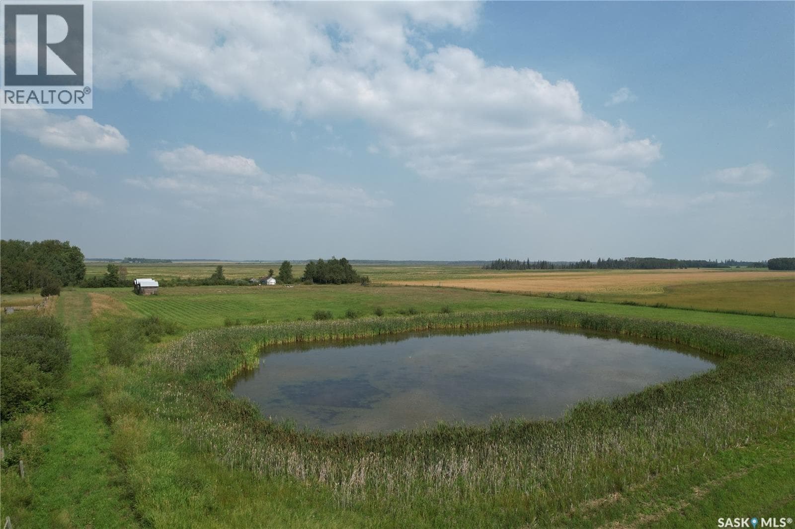 Strong Pine Road Land — photo 3