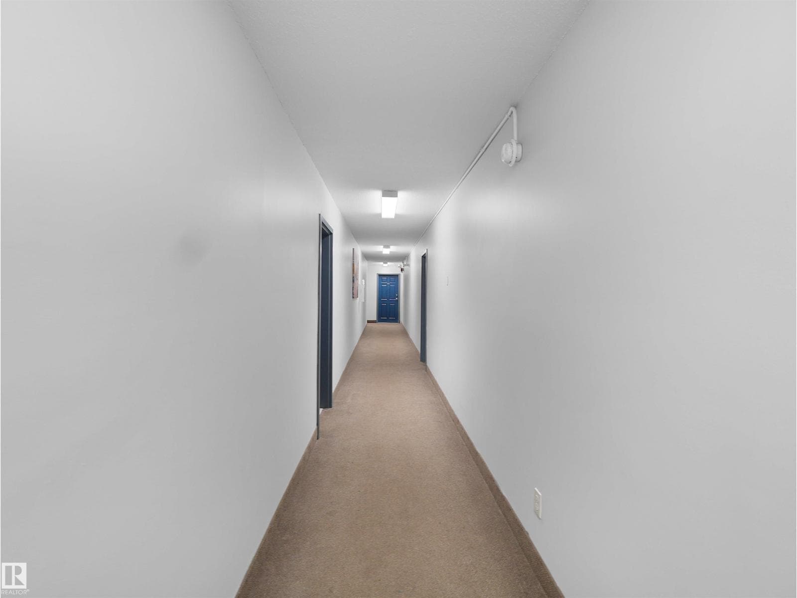 #204 9116 106 AV NW — photo 5