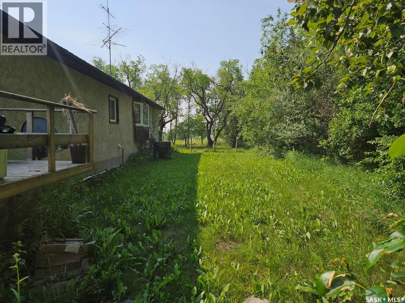 Paulson Acreage — photo 3