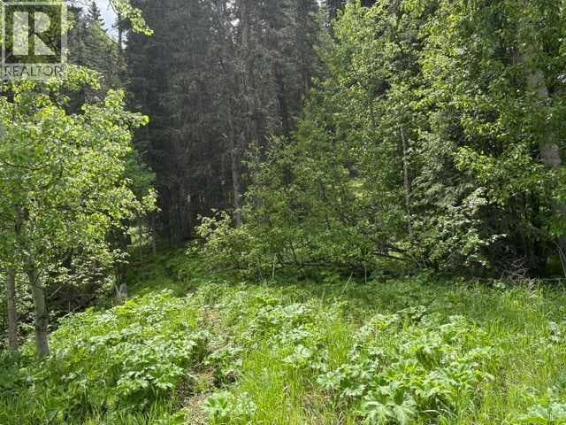 229 Mountain Lion Drive — photo 2