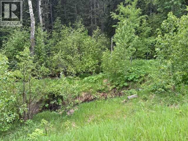 229 Mountain Lion Drive — photo 4