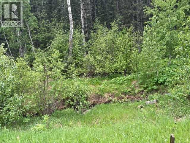 229 Mountain Lion Drive — photo 5