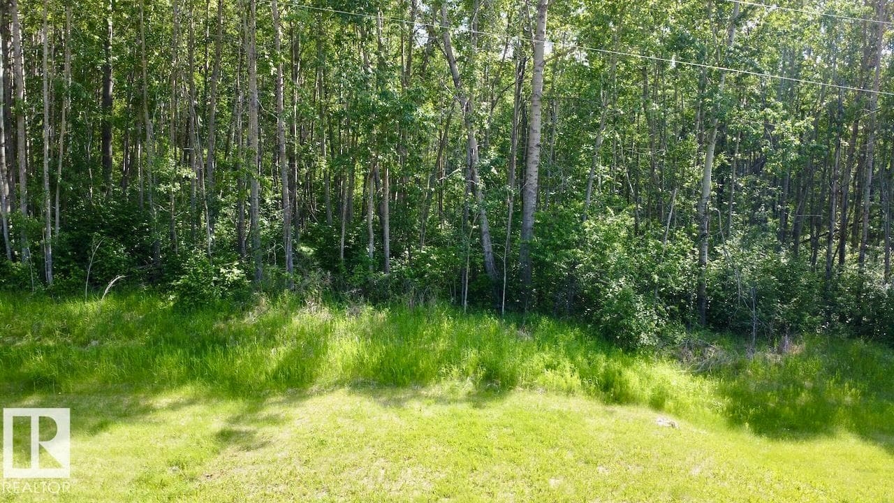 7 53420 RGE ROAD 60 — photo 2