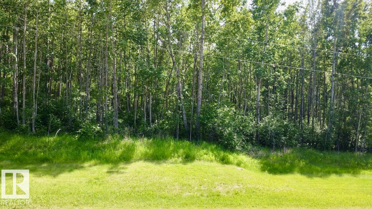 7 53420 RGE ROAD 60 — photo 3