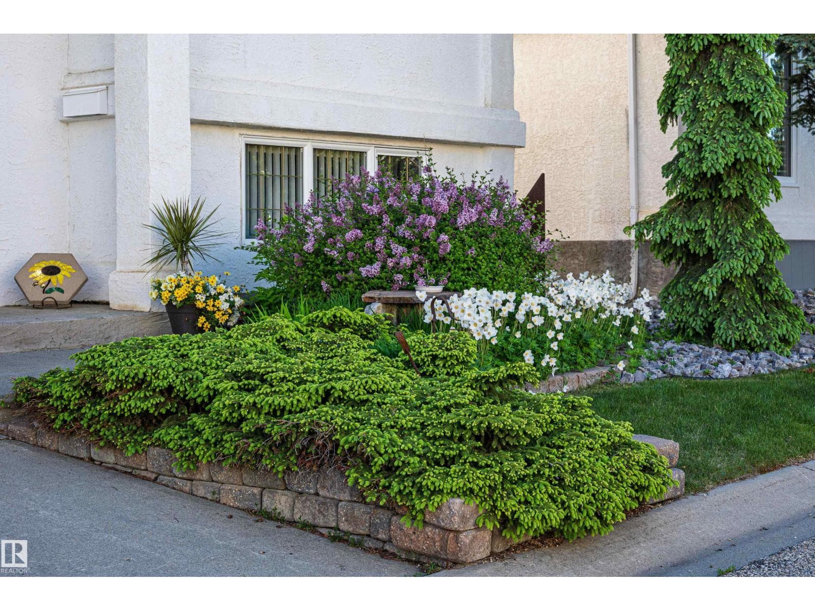 11686 15 AV NW — photo 2