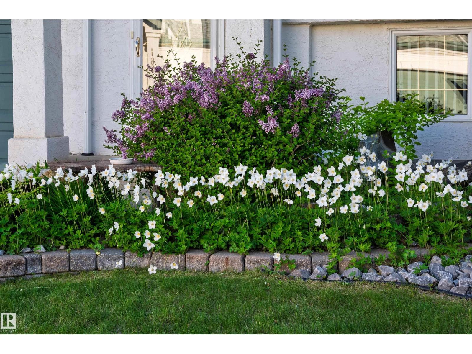 11686 15 AV NW — photo 3