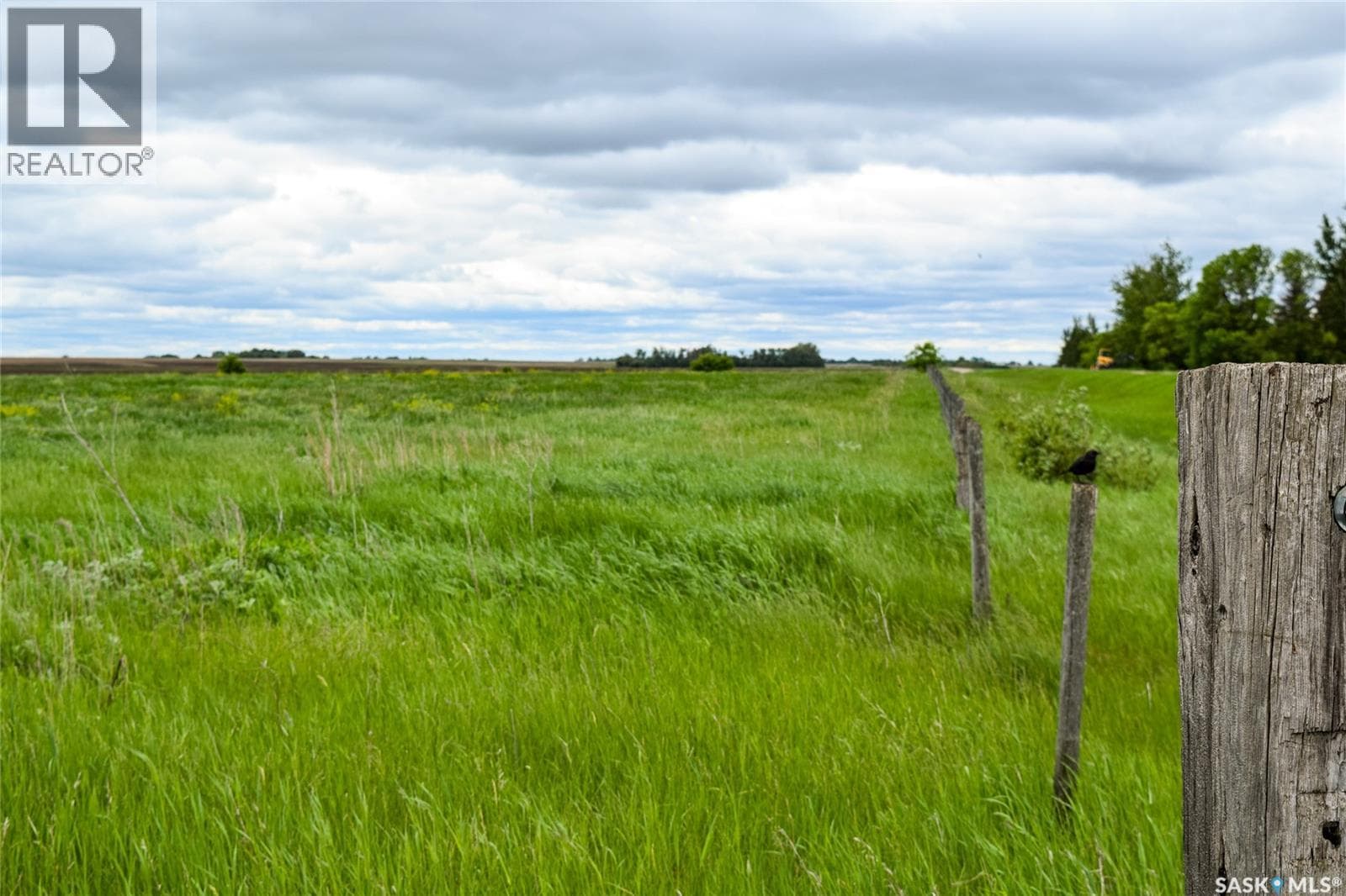 Gruenthal Land — photo 5