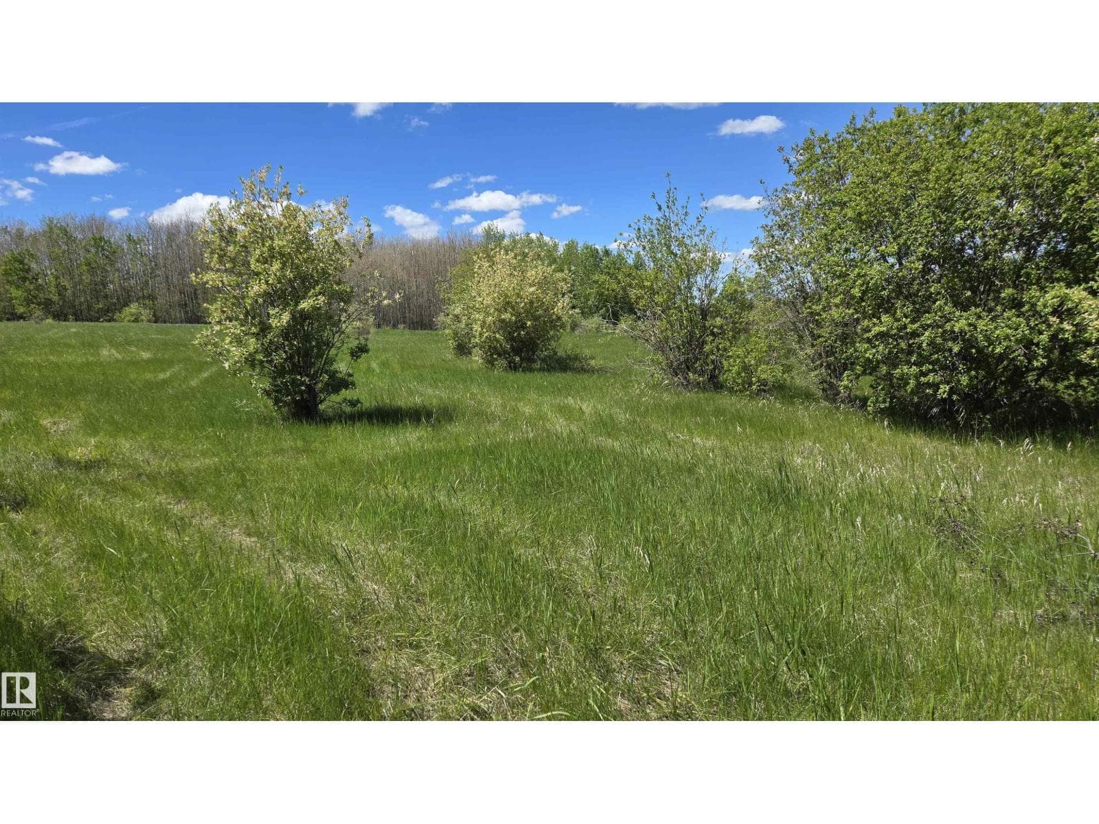 22 15025 Twp Rd 470 — photo 4