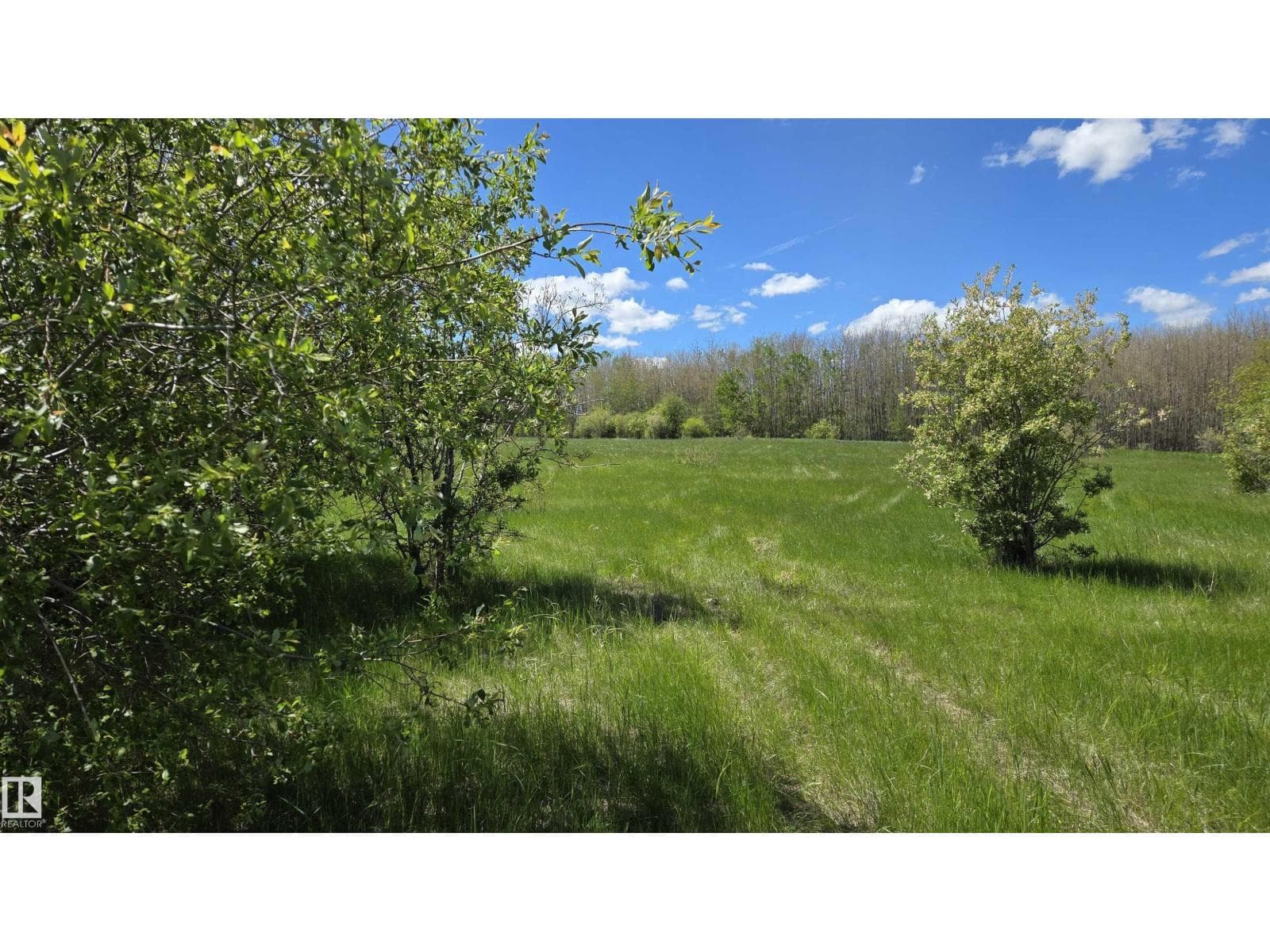 22 15025 Twp Rd 470 — photo 3