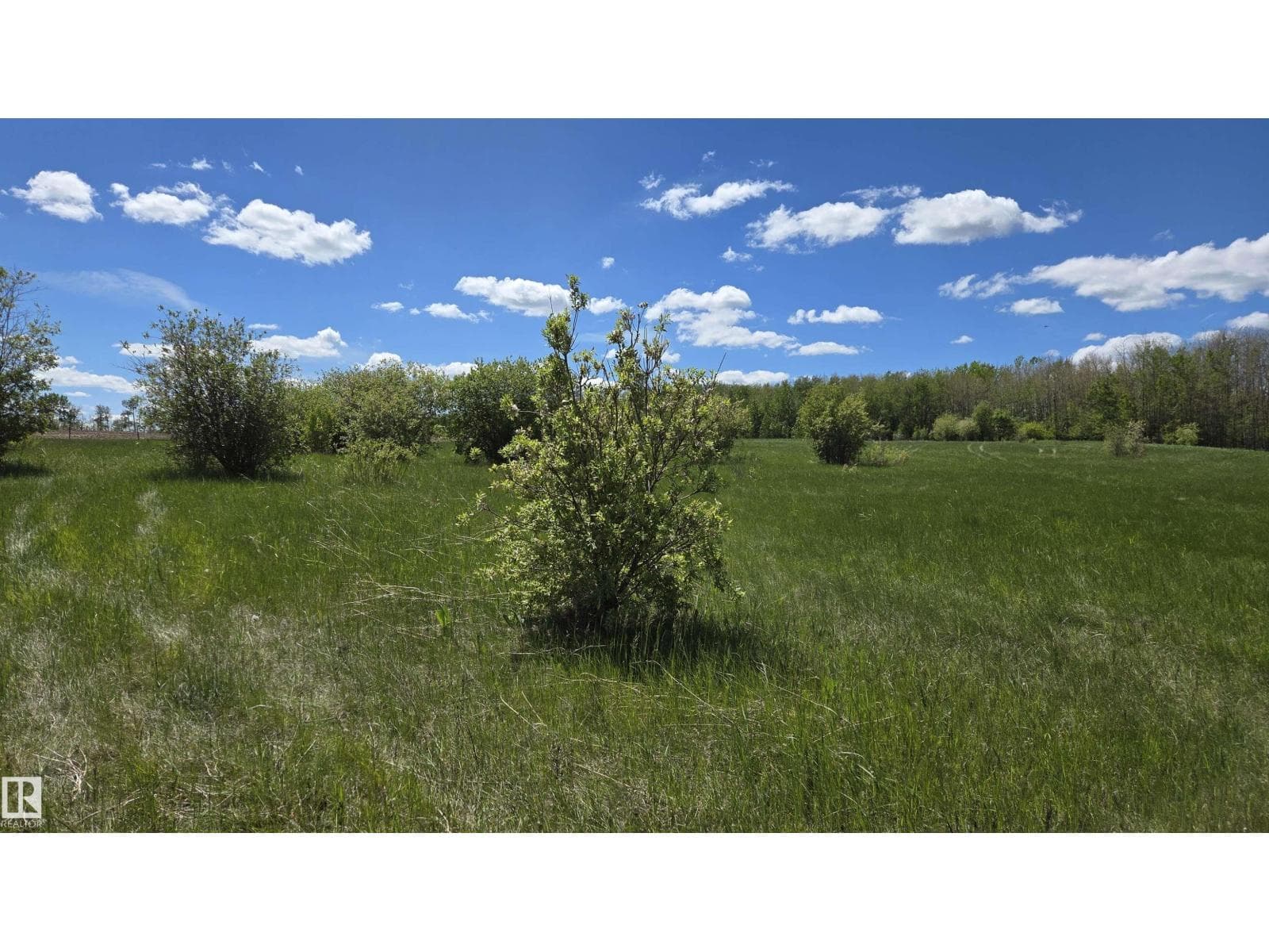 22 15025 Twp Rd 470 — photo 2