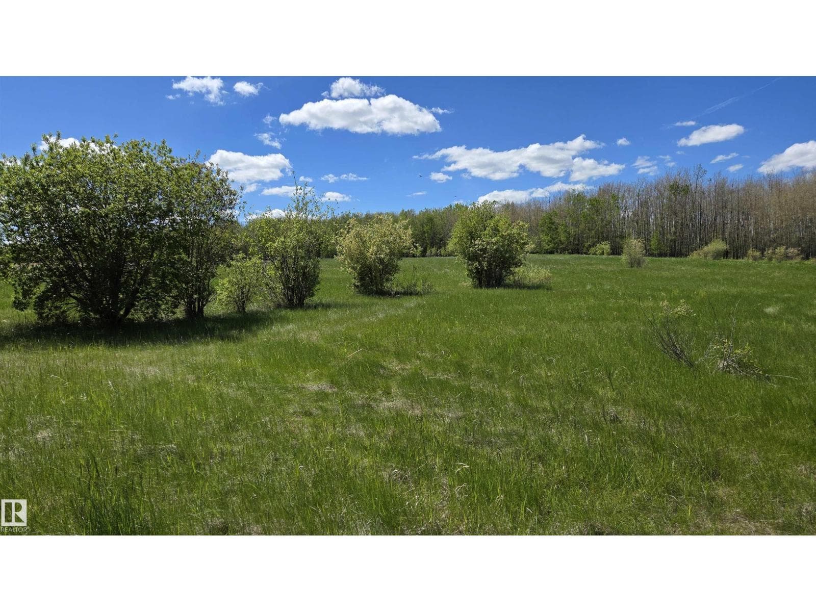 22 15025 Twp Rd 470 — photo 5
