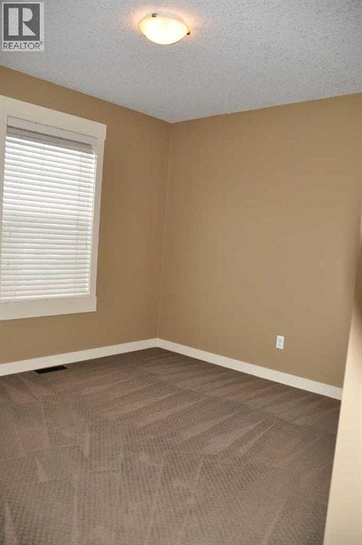 233 Rainbow Falls Drive — photo 5