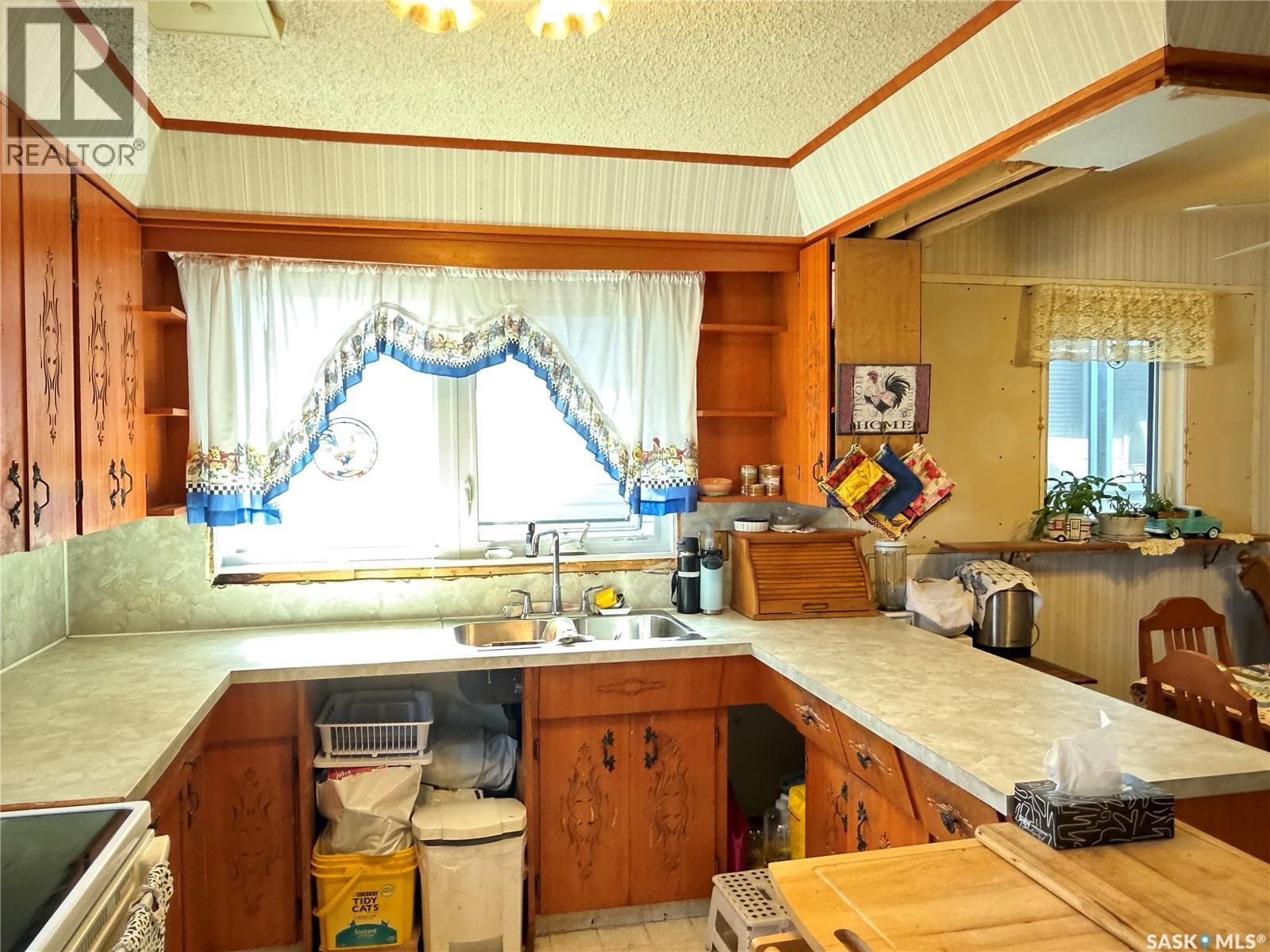 205 Pipestone AVENUE — photo 5