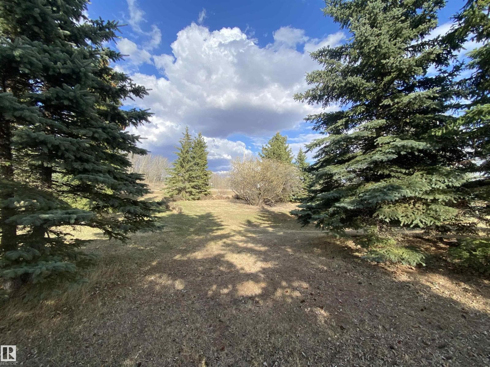 52318 RGE ROAD 213 — photo 4