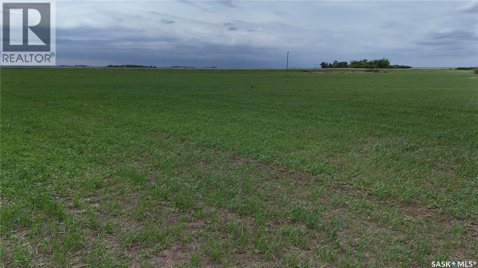 Tyvan Farm — photo 5