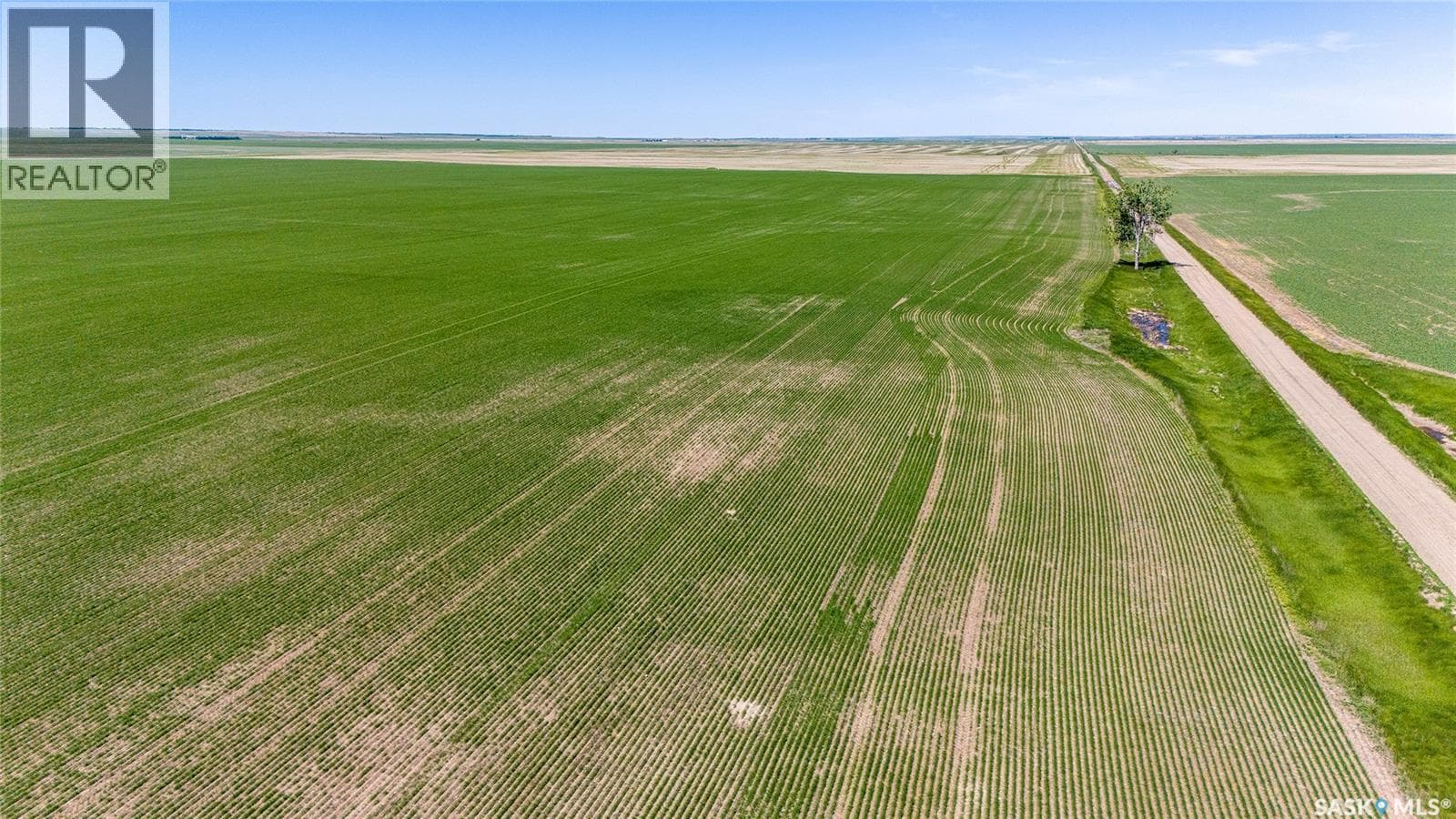5 Quarters Grainland Near Palmer, SK (Solberg) — photo 3