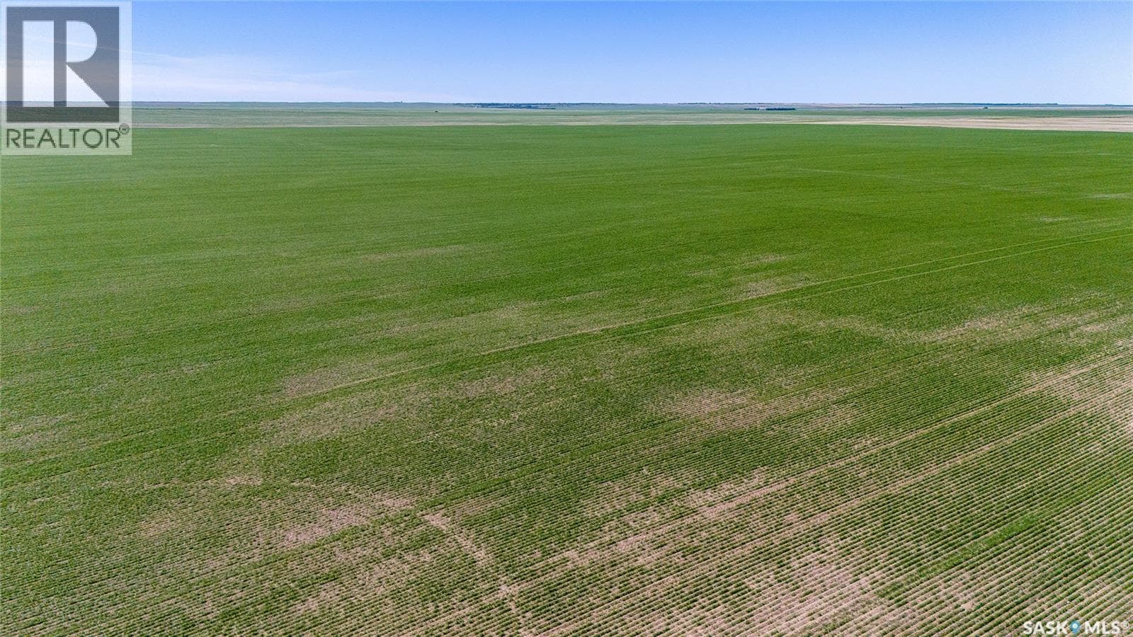 5 Quarters Grainland Near Palmer, SK (Solberg) — photo 4
