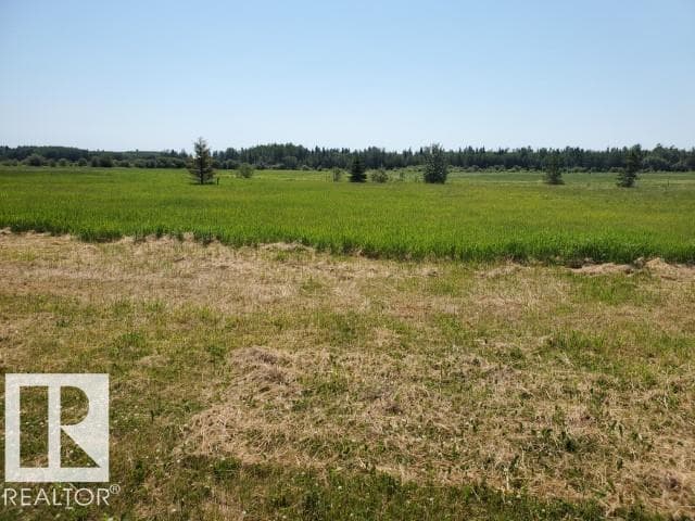 17 465011 Rge Rd 64 — photo 4