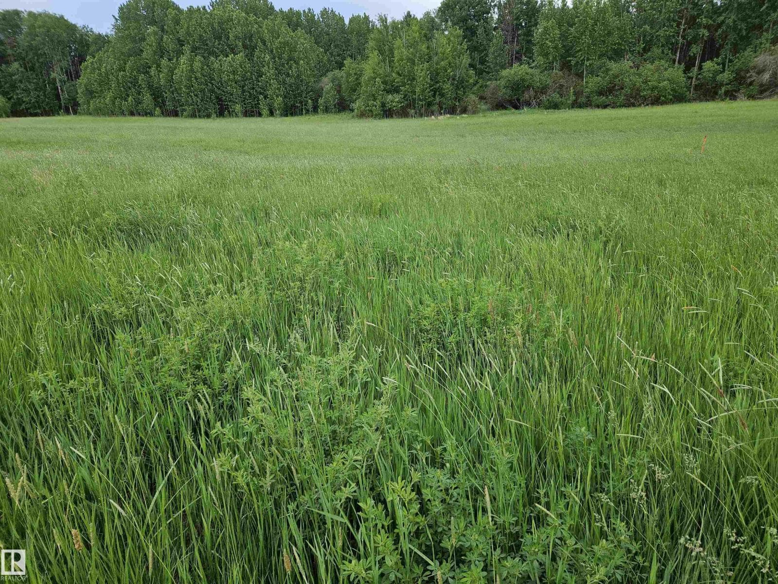 Range Road 63 Township Road 555A — photo 3