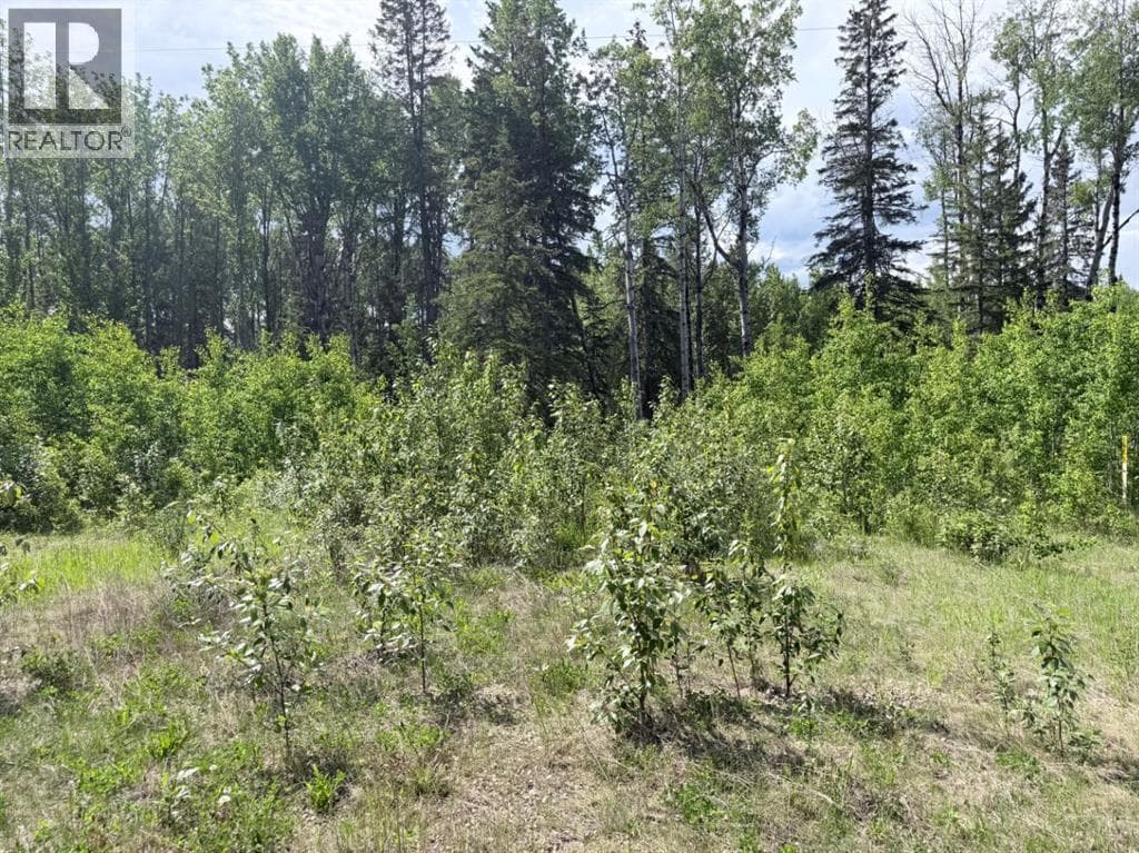 Block 1 Lot 5 Elk Ridge Estates — photo 2