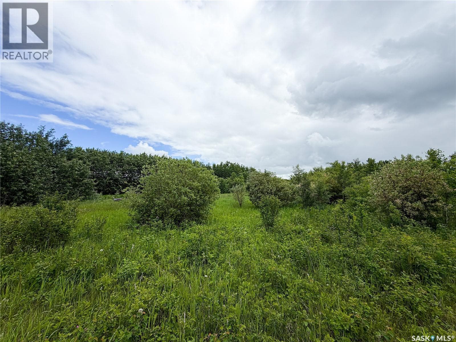 Lot 4 Poplar Grove Estates — photo 4