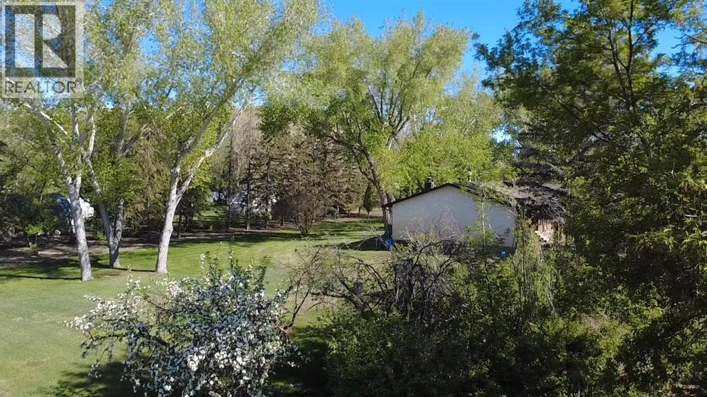 31 Larch Avenue — photo 5