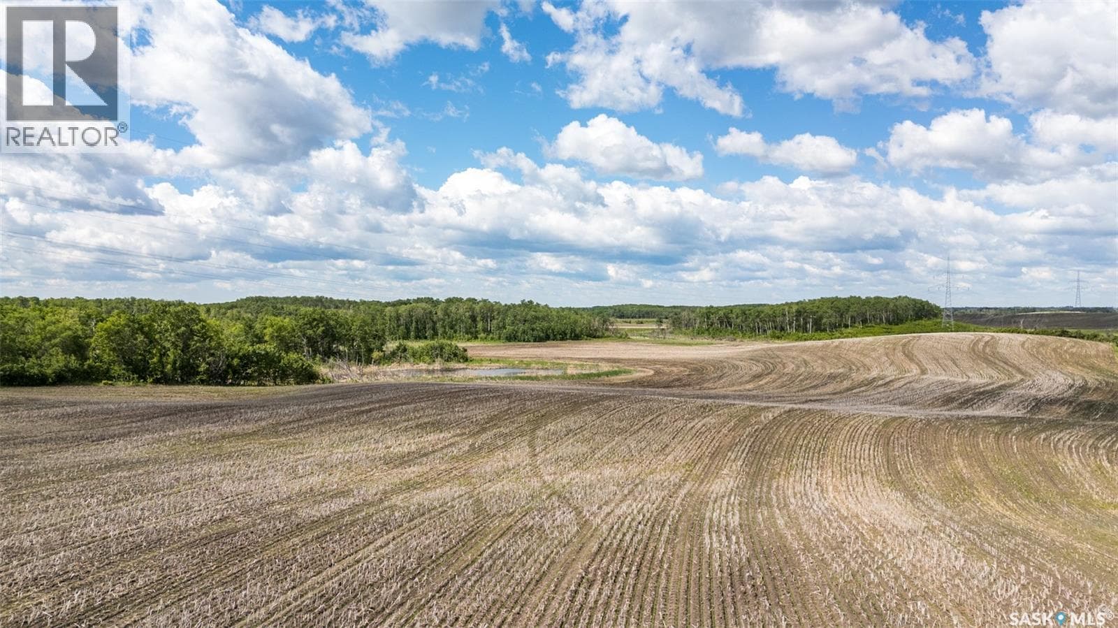 Russ-Stan Road Farmland — photo 4