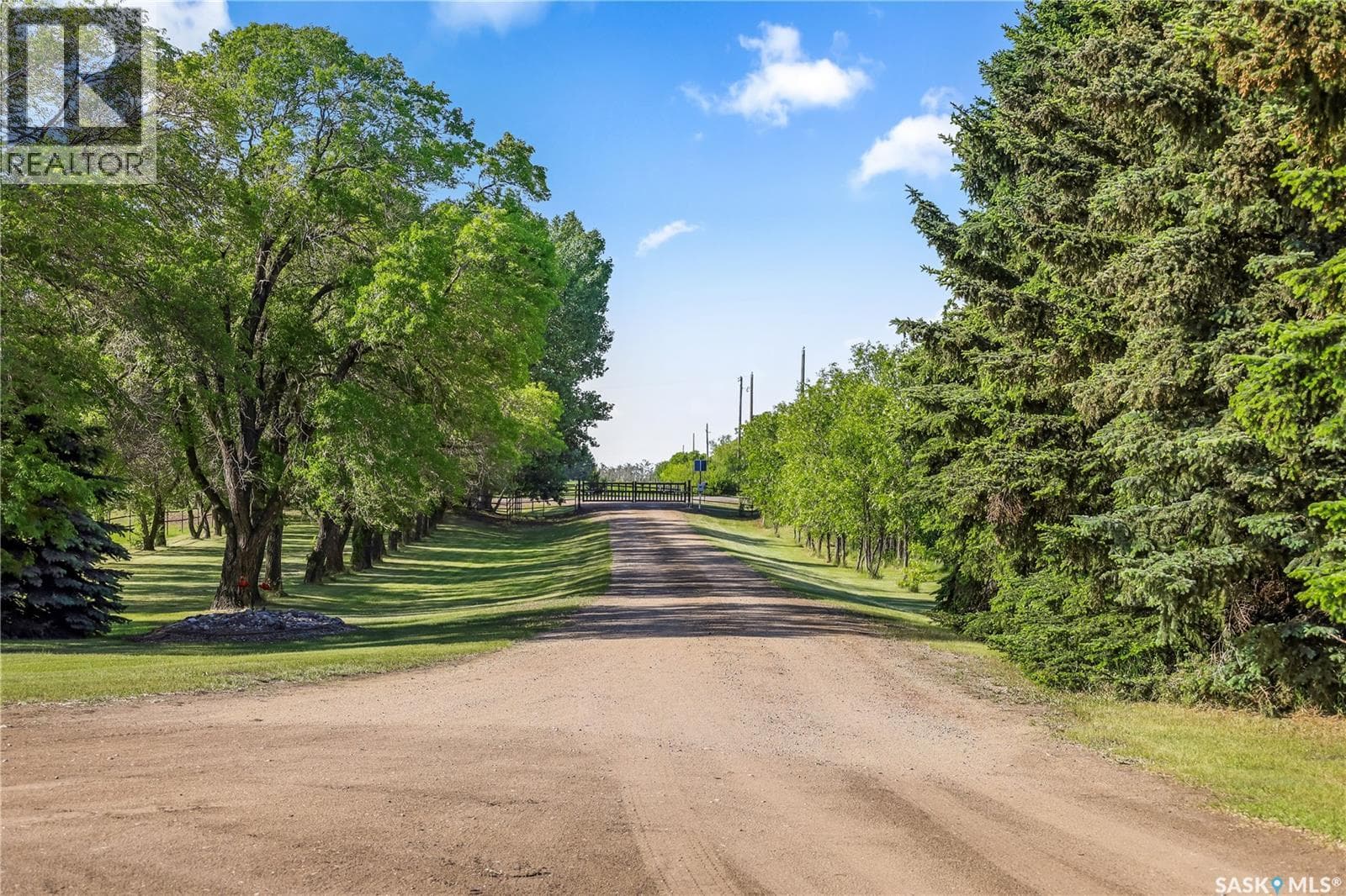 20 Vanscoy Rd Equine Acreage — photo 3