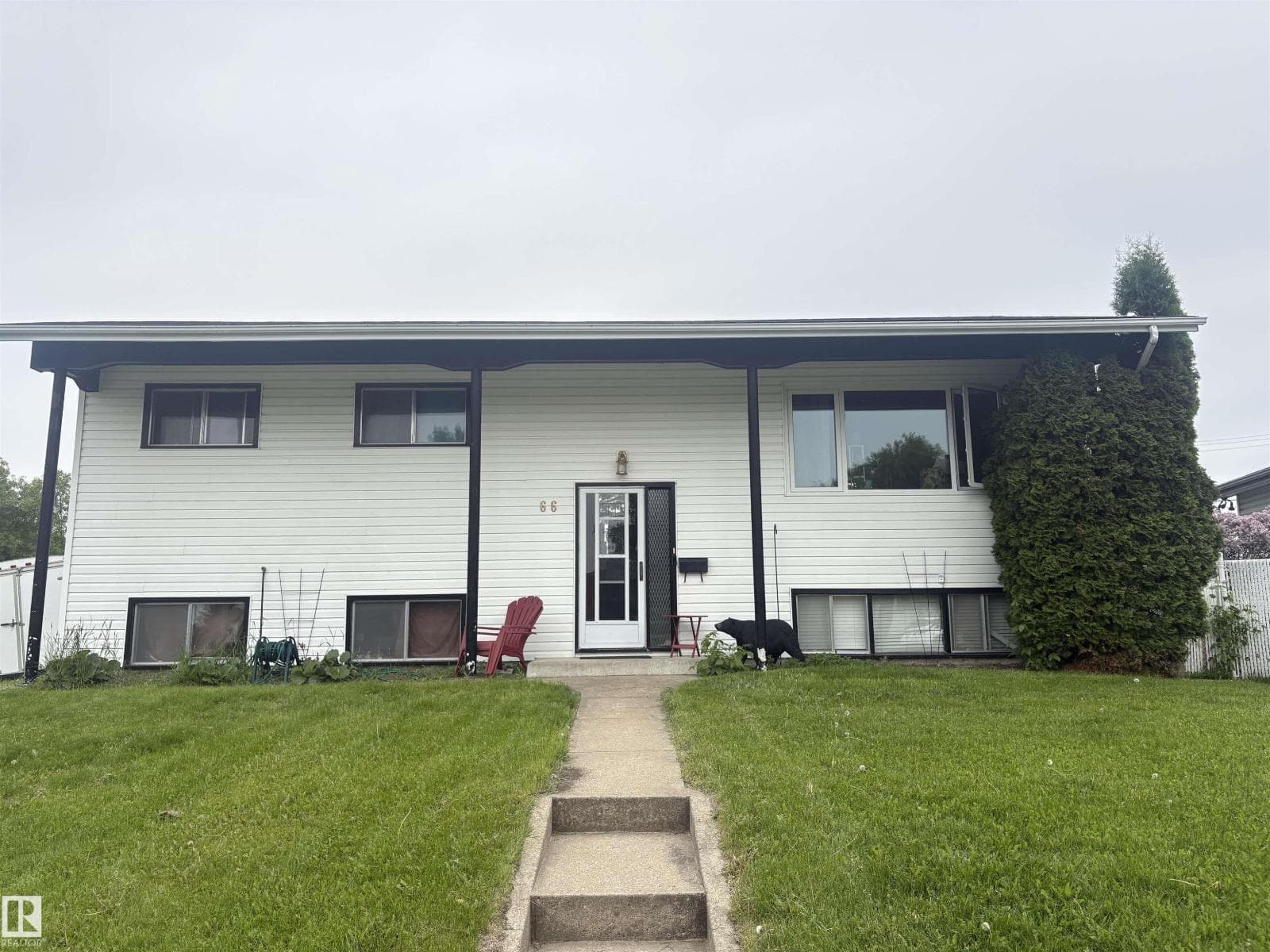 66 maligne DR