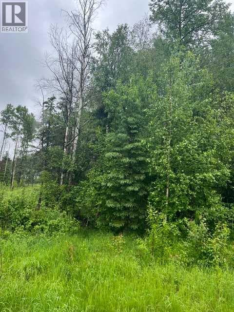 58215-58237 Range Road 121 — photo 4