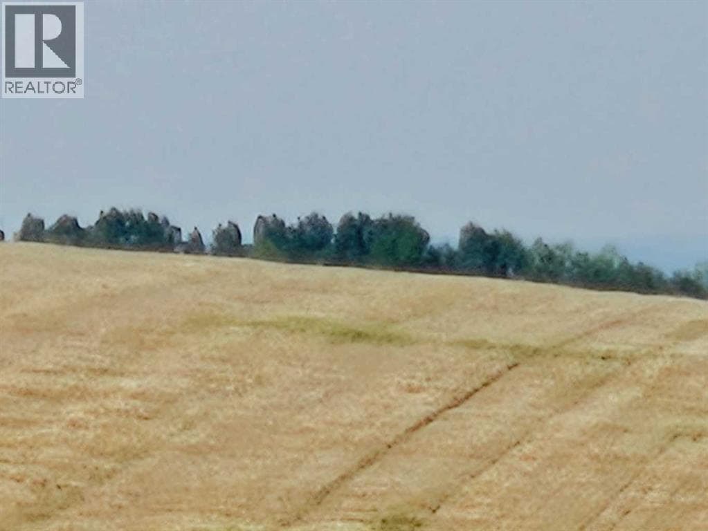 Symons Valley — photo 3