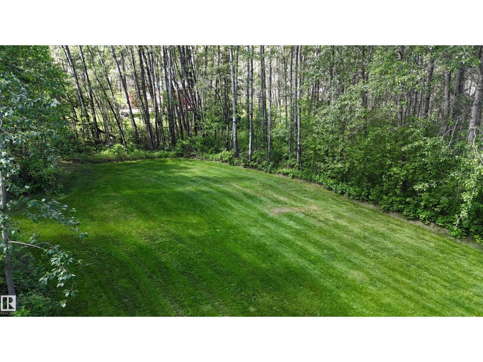 274032 TWP ROAD 480 — photo 4