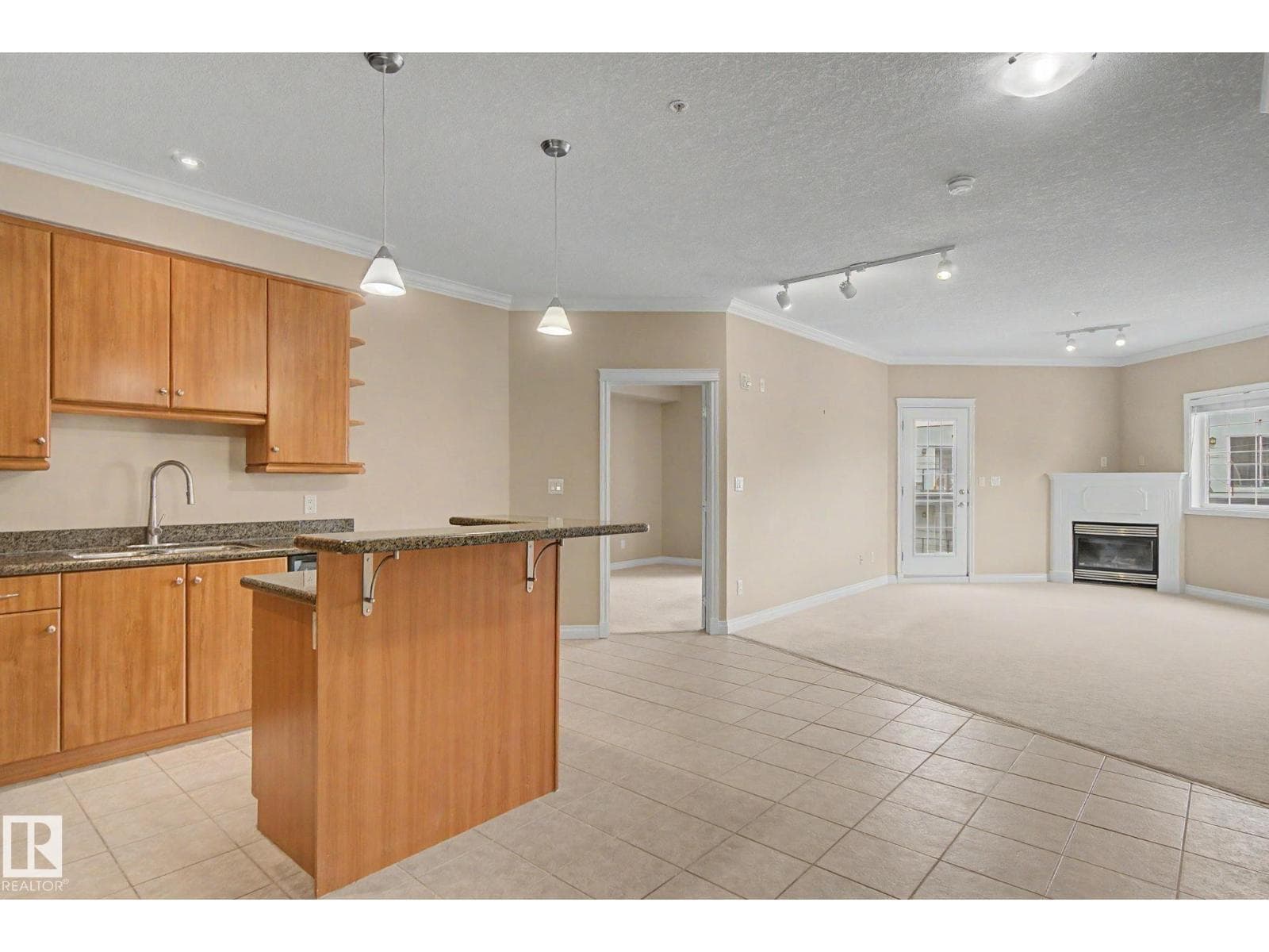 #413 10116 80 AV NW — photo 5