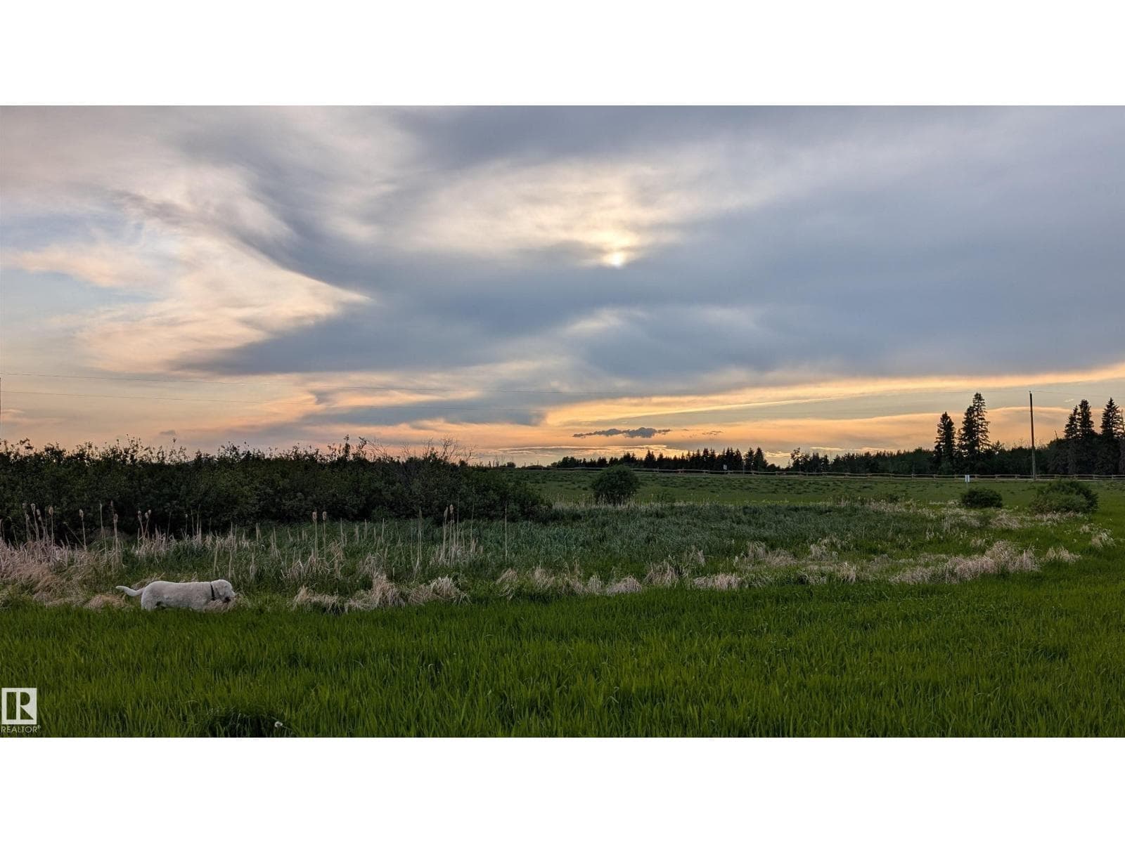 21173 Twp Rd 534 — photo 4