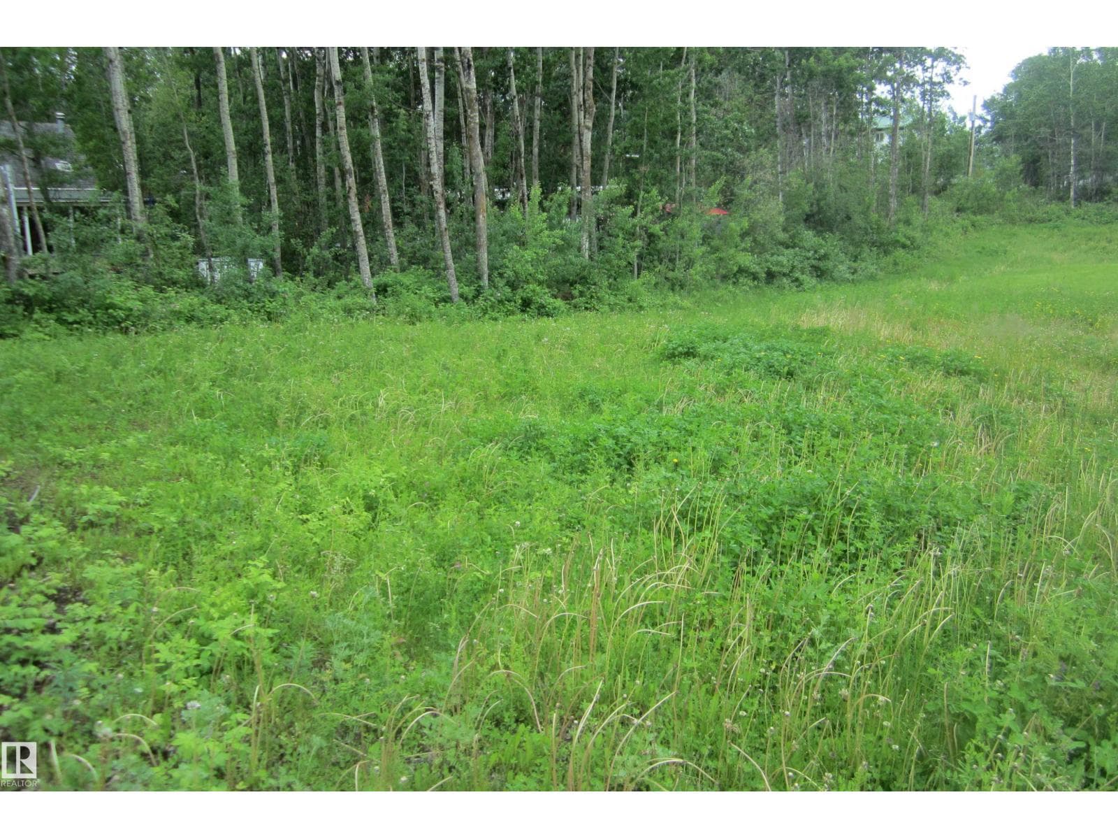 220 11502 Twp Rd 604 S — photo 4