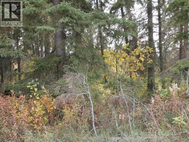Lot 25 Bodnar Road — photo 3
