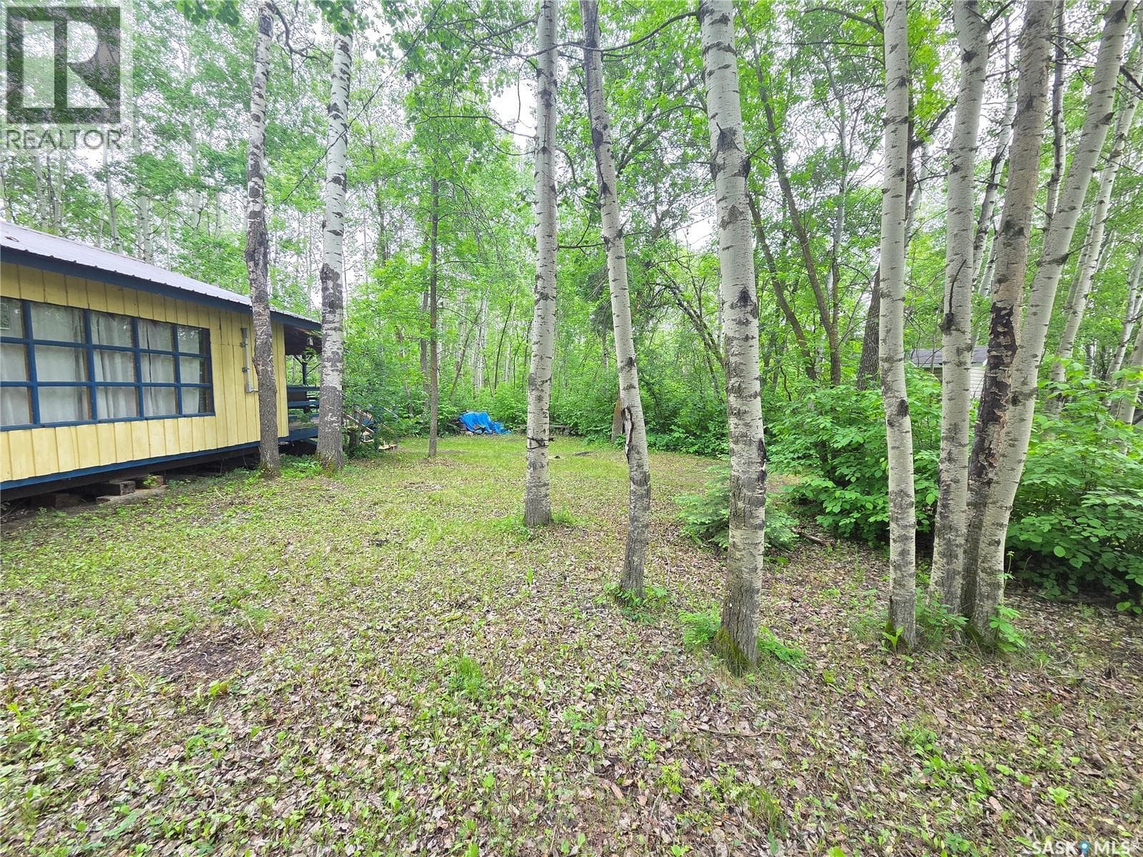 313 Kakakaway PLACE — photo 5