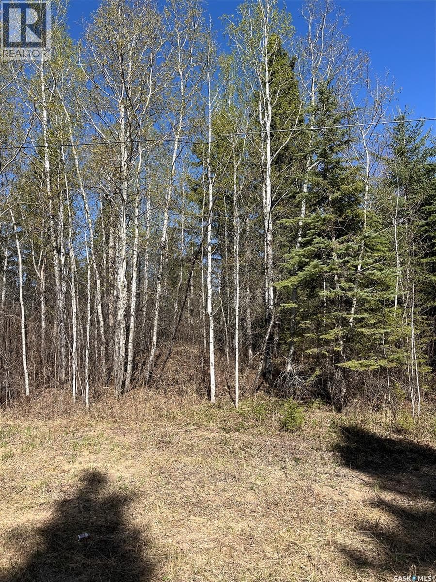 6 Buckingham TRAIL — photo 2