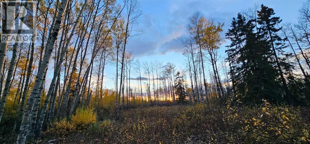 SE-27-79-9-W6 92 Range Road — photo 2